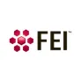 Logo FEI Electron Optics