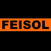 Feisol Logo