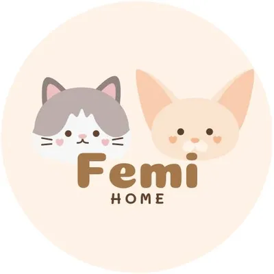 femihome.com logo