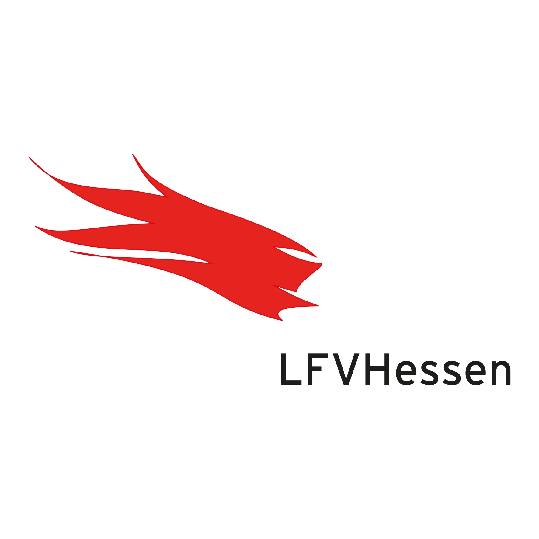 Landesfeuerwehrverband Hessen