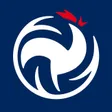 Fédération Française de Volley-Ball-company-logo