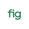 Fig For Kids logo