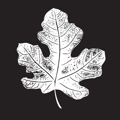 Fig Leaf Coffee Company