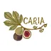 Fig of Caria logo