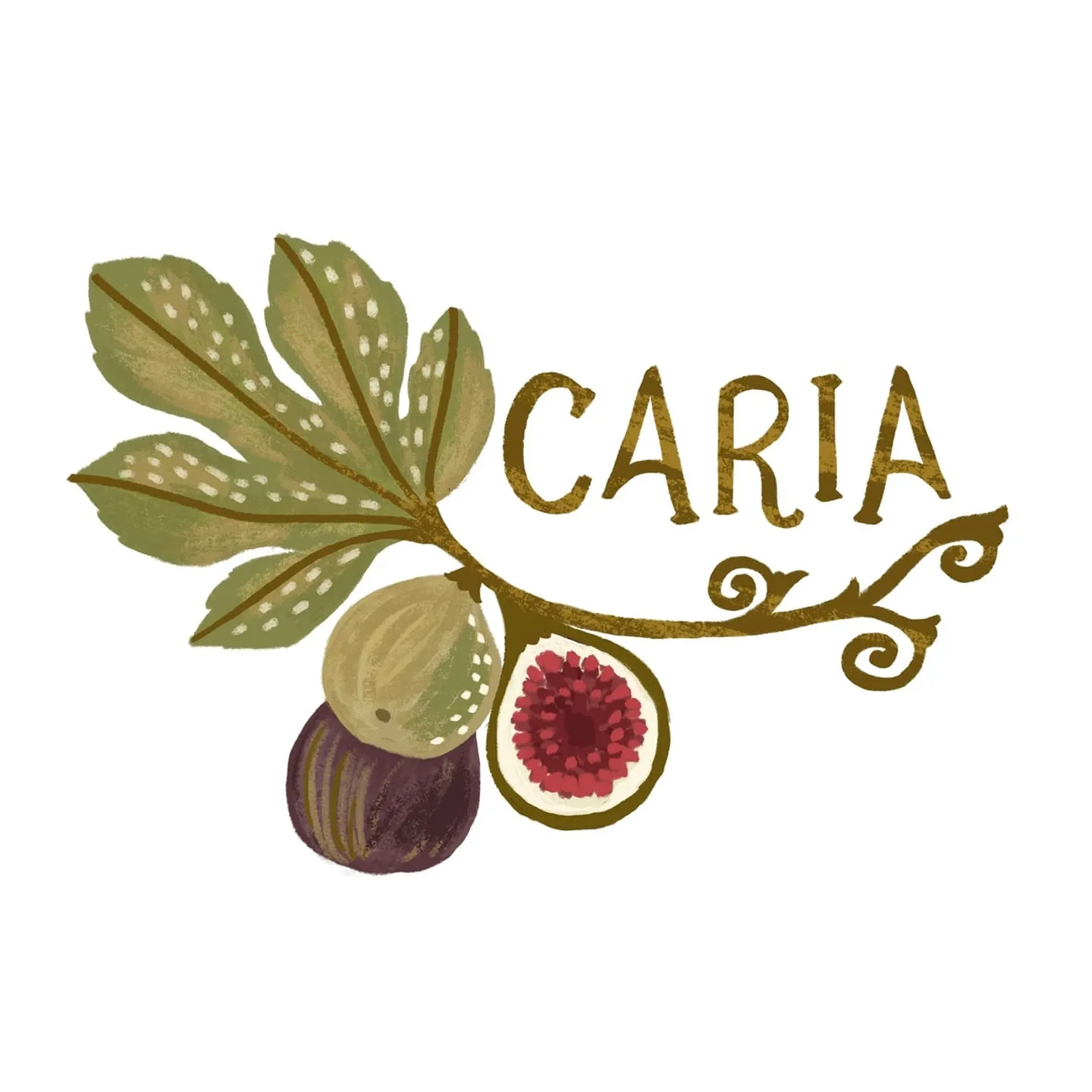 Fig of Caria
