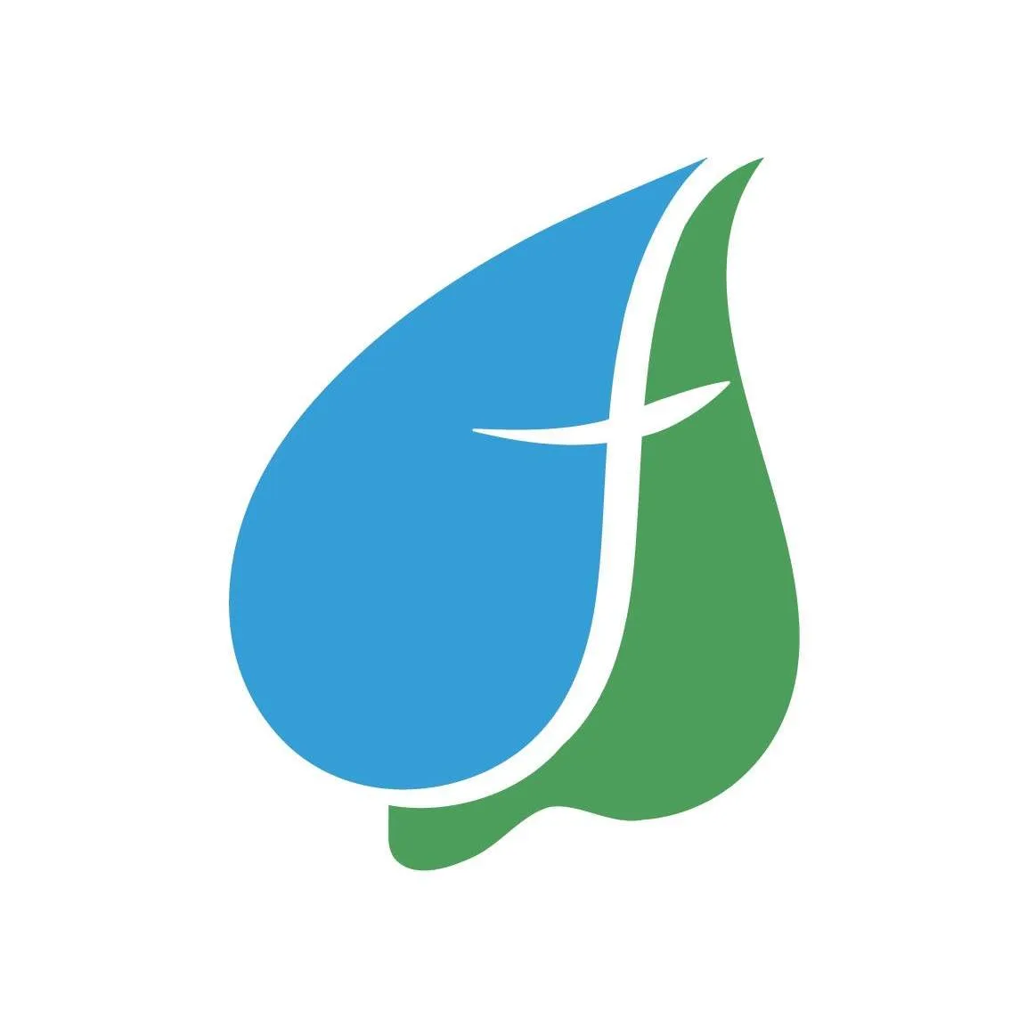 Store