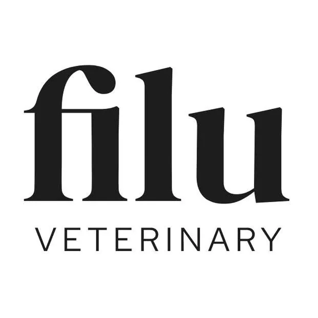 Filu GmbH logo