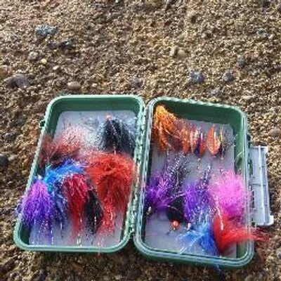 Fin & Fire Fly Shop