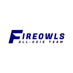 FireOwls Corporation