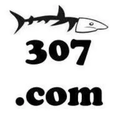 Fish307