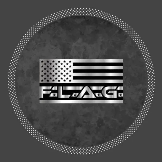 FLAG Solutions logo