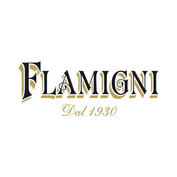 Flamigni Logo