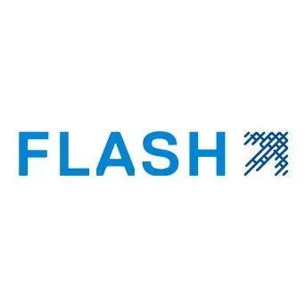 Flash Technology Group LLC logo