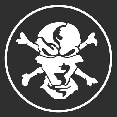 Flats Pirate logo