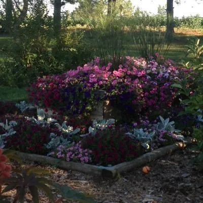 Flaurancompanygreenhouse