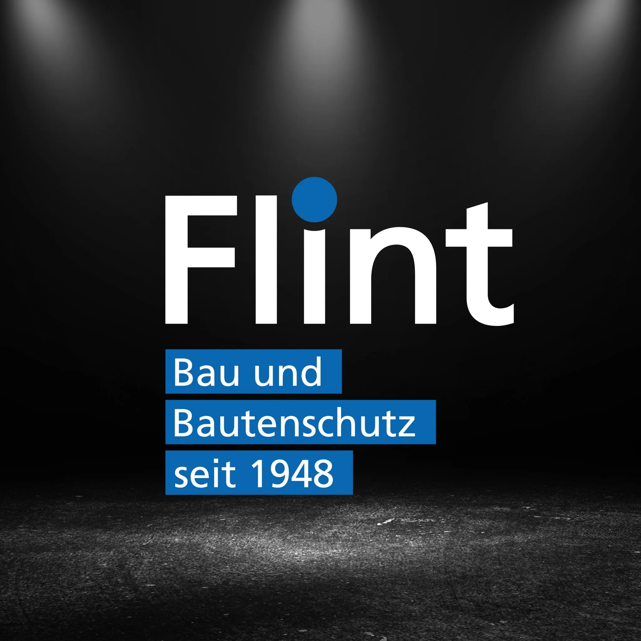 Flint Bautenschutz GmbH