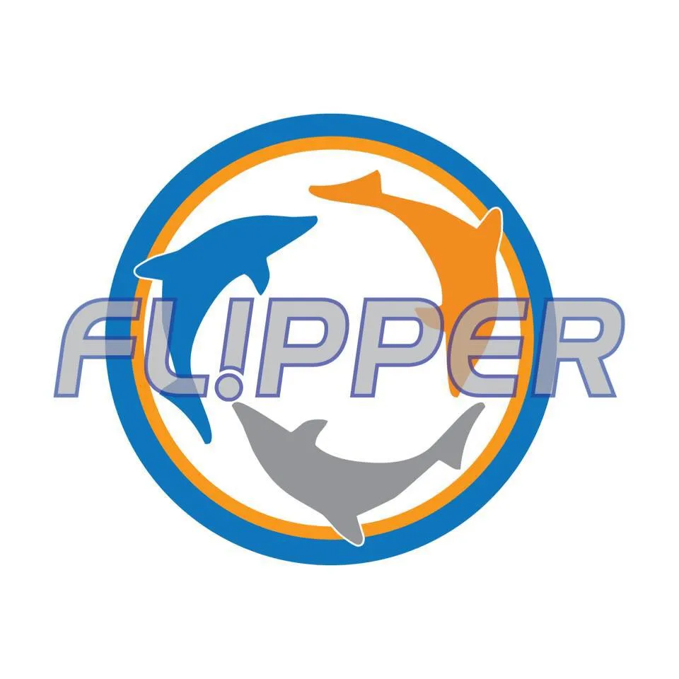 Flippercleaner