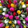 Logo Flowershop Goes