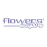 Logo Flowers Insight