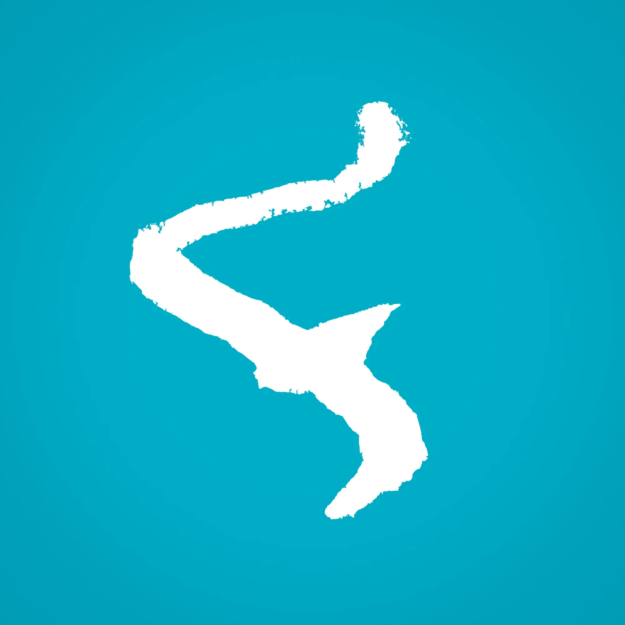 Flowtrack Summer (BE)