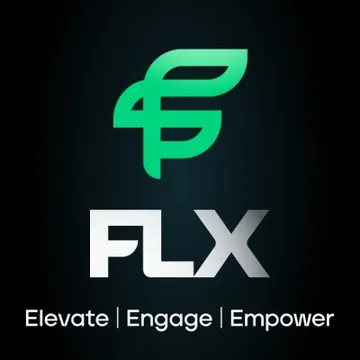 FLX Systems Logo