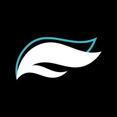 Flyfin