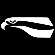 FlyingEyesOptics Logo