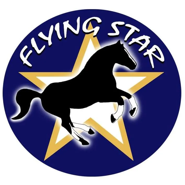 Flyingstarsaddlery