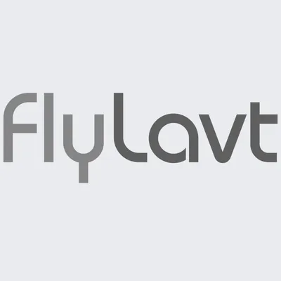 FLY LAVT SKOGMO