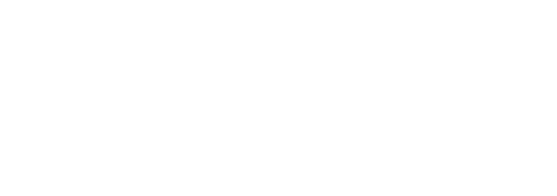 SAS Scandinavian Airlines