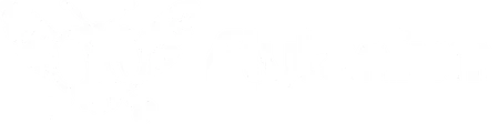 Flytanium light logo