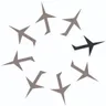 TRADEWIND logo