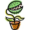 Flytrapcare