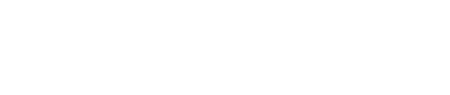 Fonesgo light logo