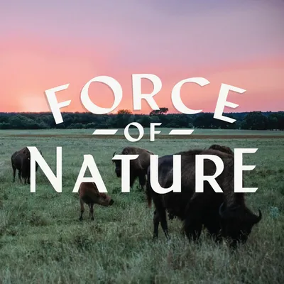 Force of Nature Meats logo