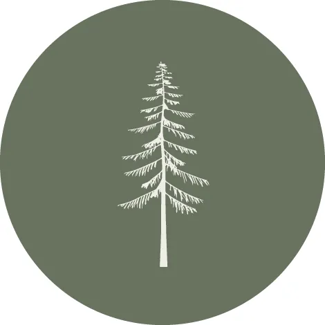 Forestandfieldcollective