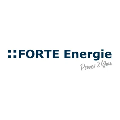 FORTE Energie GmbH & Co. KG