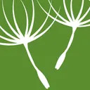 Foundations of Success Inc. logo