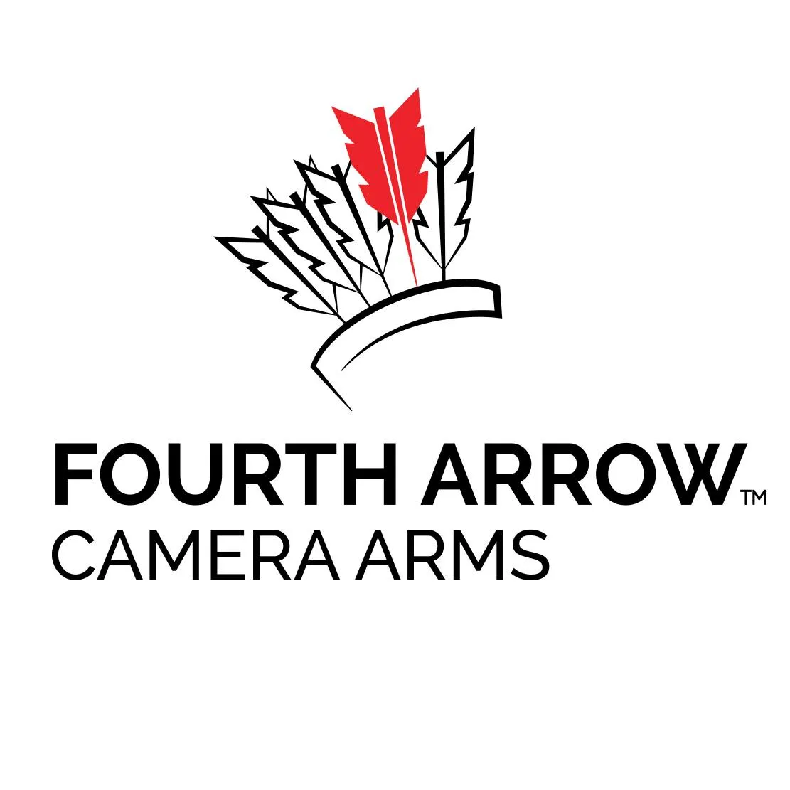 Fourtharrowcameraarms