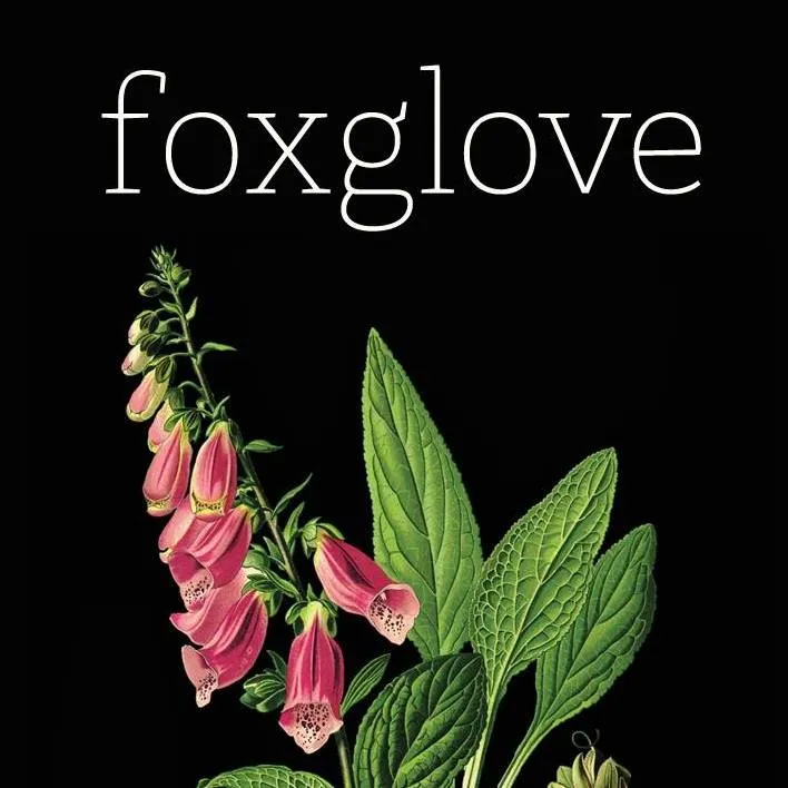 Foxglovestore
