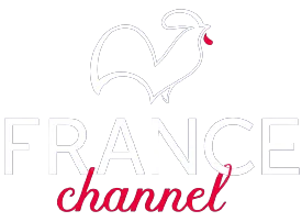 Francechannel light logo