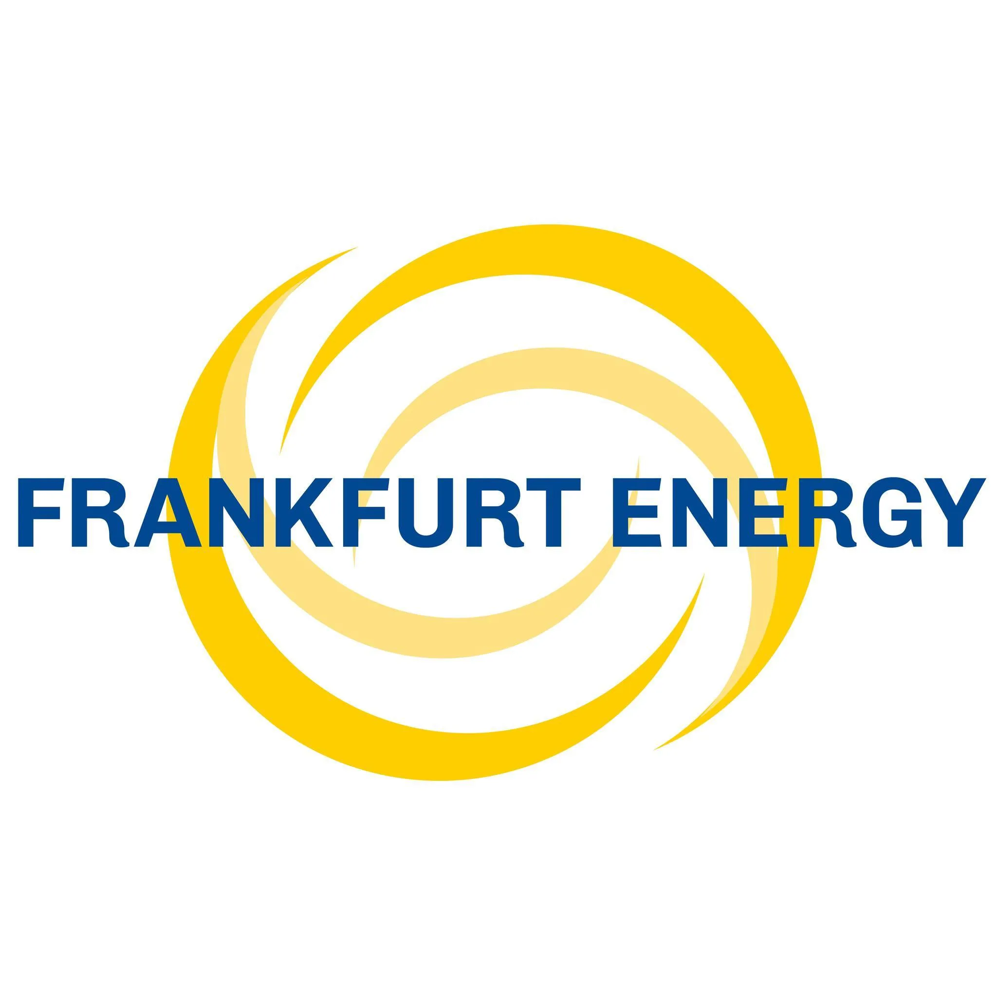 Frankfurt Energy Holding GmbH