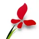 Freeman Landscape logo