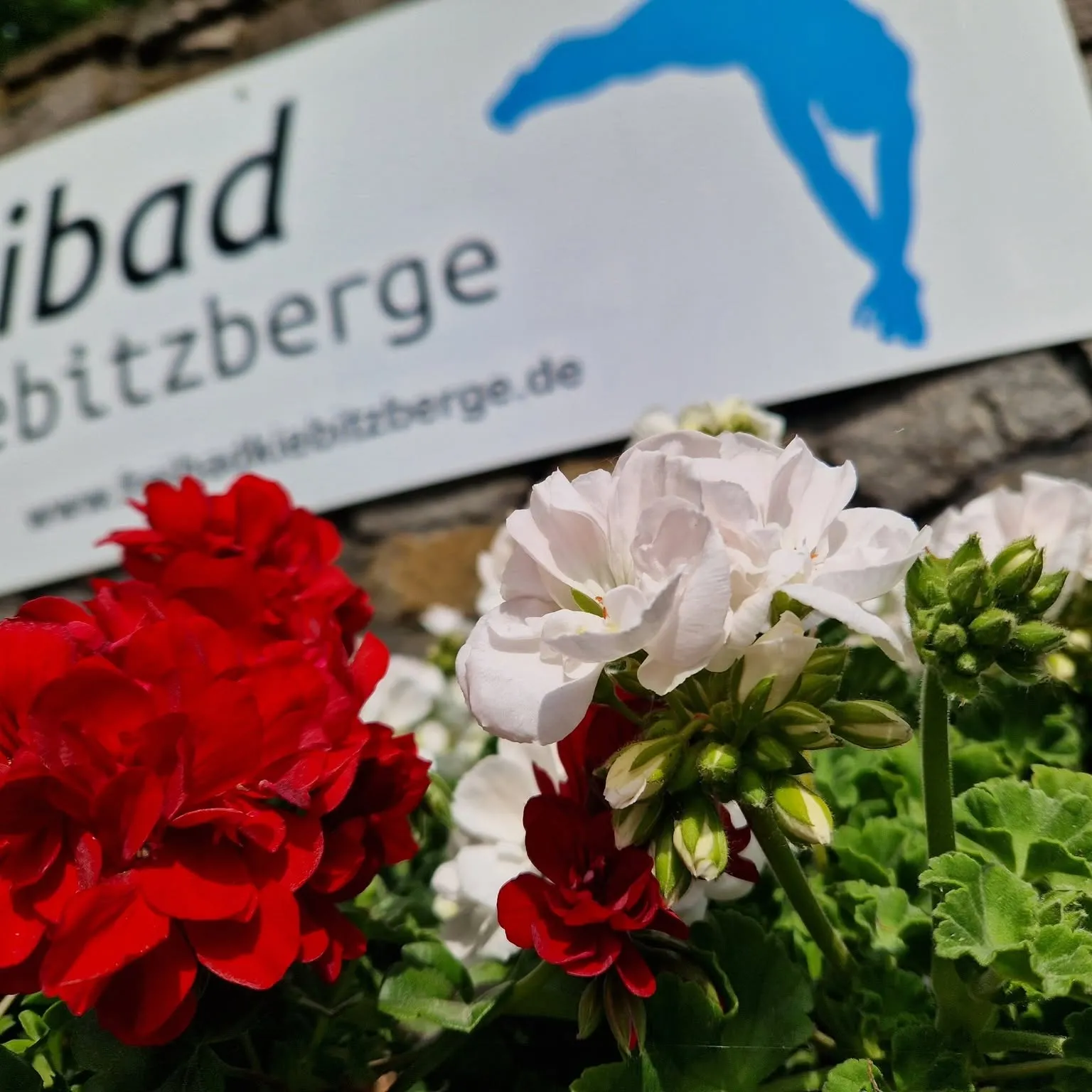 Freibad Kiebitzberge GmbH logo