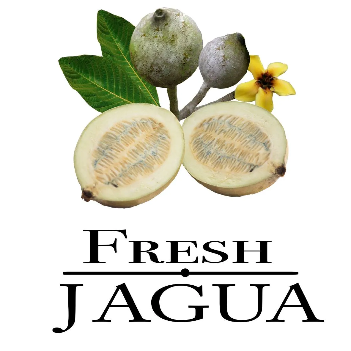 Freshjagua