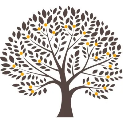 Fruition Capital logo