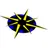 FTS International logo