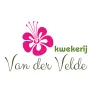 Logo Van der Velde - Borchgraverweg