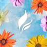 Full Leaf Tea Company logo