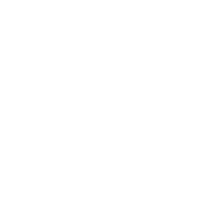 Fut Fanatics BR light logo